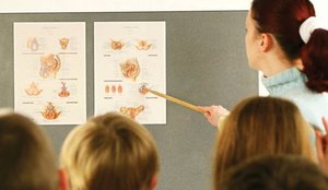 Ne kemi akoma turp nga organet tona! Thirrje për edukim seksual në