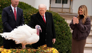 Nga Shtëpia e Bardhë! Trump dhe Melania falin gjelat para Ditës