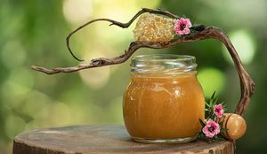 Bletari: Mjalti Manuka, abuzimi më i madh në treg. Zelanda e Re