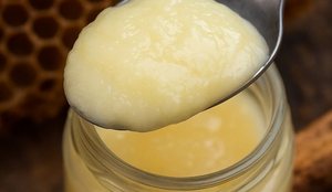 Qumështi i mbretëreshës është mrekulli biologjike, nga