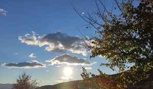 Parashikimi i motit p&euml;r sot!