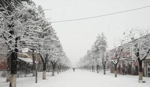 Viti mbyllet me ftoht&euml; dhe d&euml;bor&euml;