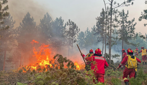 Nis kompensimi p&euml;r d&euml;met nga zjarret, 191.5 milion&euml; lek&euml;