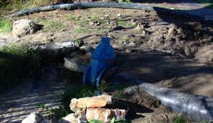 UKT Vlor&euml; lajm&euml;ron se i vodh&euml;n sara&ccedil;inesk&euml;n!