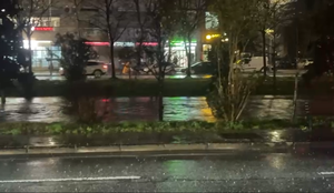 Reshjet intensive rrisin prurjet e Lan&euml;s, Pallati me Shigjeta zona m&euml;