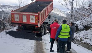D&euml;bora zbardh Elbasanin, akset problematike