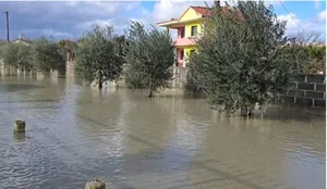 P&euml;rmbytjet/ Prokuroria e Durr&euml;sit nis hetimin p&euml;r shp&euml;rdorim