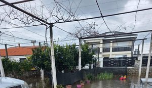 Kush &euml;sht&euml; fajtori?! Pjerin Ndreu akuzon