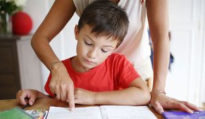 48 mij&euml; lek&euml; zbritje p&euml;r f&euml;mij&euml;, ja hapat p&euml;r