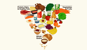 SHBA p&euml;rmbys piramid&euml;n ushqimore. Udh&euml;zimet e reja q&euml; ndezin