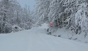 D&euml;bora e madhe bllokon fshatrat n&euml; Kuk&euml;s