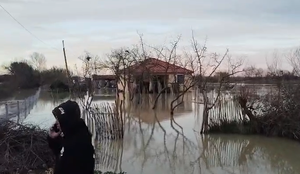 Pse doli lumi Seman nga shtarati!