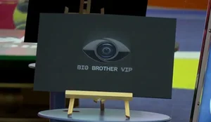 Dy zarfe t&euml; zinj n&euml; sht&euml;pin&euml; e BBV, anulohet televotimi