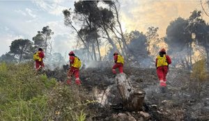 Ja bashkit&euml; q&euml; p&euml;rfitojn&euml; d&euml;mshp&euml;rblim nga zjarret