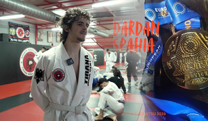 N&euml; mosh&euml;n 16-vje&ccedil;are, Dardani fitoi Europ&euml;n, por ajo