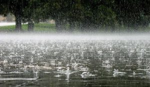 Parashikimi i motit p&euml;r sot!