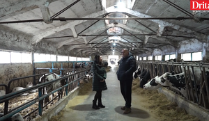 Fermeri n&euml; Vil&euml; Bashtov&euml;: Un&euml; kisha qum&euml;sht me