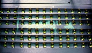 K&euml;to dy suplemente vitaminash m&euml; shum&euml; po ju d&euml;mtojn&euml;,