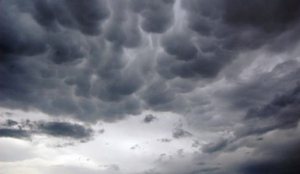 E h&euml;na nis me vran&euml;sira!