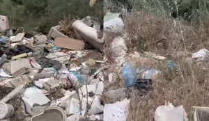 Rama publikon videon nga Zv&euml;rneci: Ja realiteti q&euml; duan t&euml;