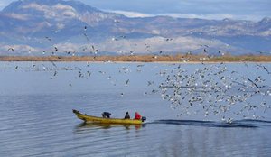 Liqeni i Shkodr&euml;s shpallet Rezerv&euml; Biosfere e UNESCO-s