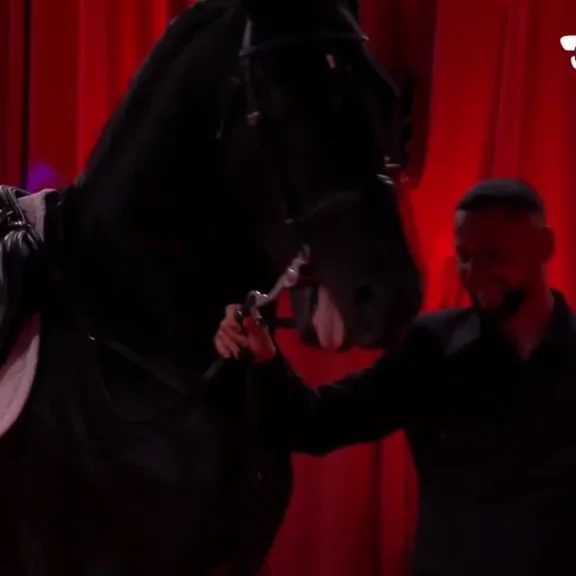 Ky &euml;sht&euml; banori m&euml; i ri i Big Brother Vip 5!