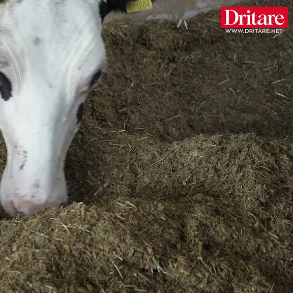 A ka bag&euml;ti n&euml; Shqip&euml;ri? Ja &ccedil;far&euml; thon&euml;