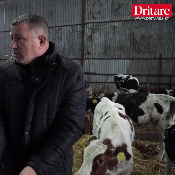 Fermer&euml;t e Kavaj&euml;s po importojn&euml; pun&euml;tor&euml; nga India: