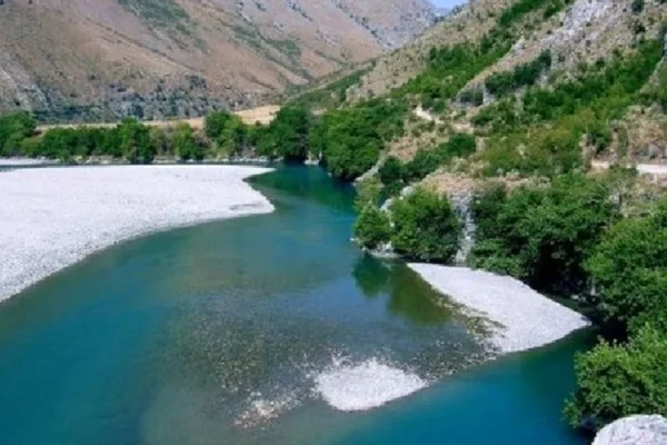 Tragjedi në Elbasan, dy vëllezër 8 dhe 10 vjeç mbyten