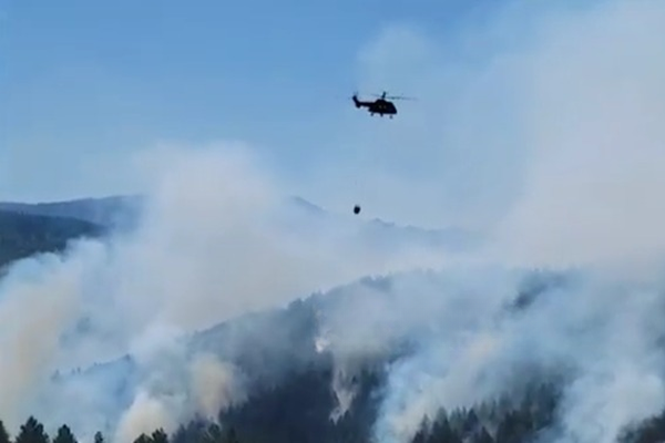 Zjarr në Miras të Korçës, ndërhyn nga ajri