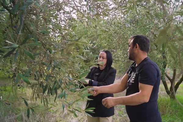 Oltioni, nga Roma te vaji i ullirit në Roshnik