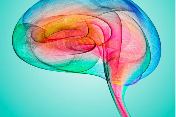 Si ta mbash trurin e shëndetshëm!