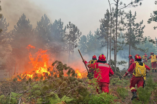 Nis kompensimi p&euml;r d&euml;met nga zjarret, 191.5 milion&euml; lek&euml;
