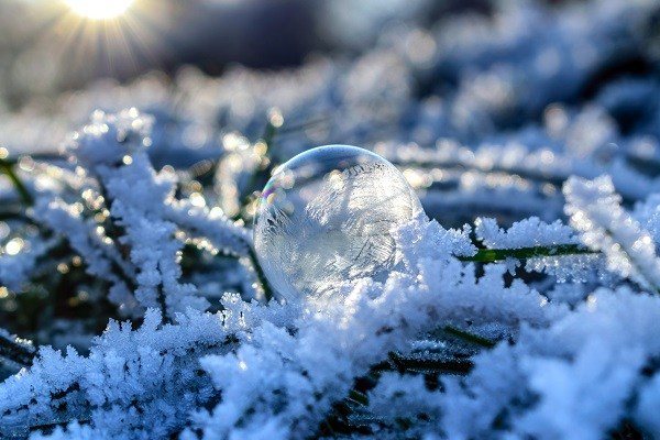 Si do t&euml; jet&euml; moti dit&euml;n e par&euml; t&euml; shkurtit!