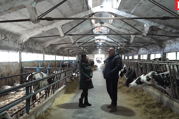 Fermeri n&euml; Vil&euml; Bashtov&euml;: Un&euml; kisha qum&euml;sht me