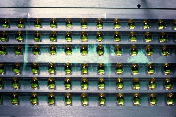 K&euml;to dy suplemente vitaminash m&euml; shum&euml; po ju d&euml;mtojn&euml;,