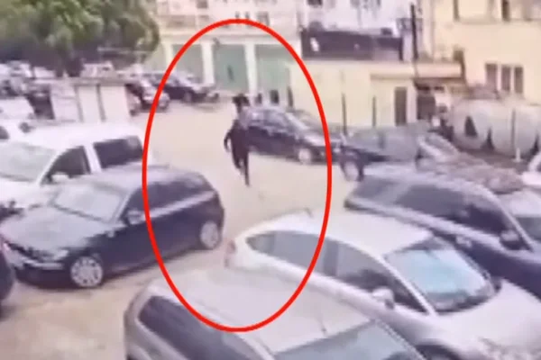 Rr&euml;fehet vras&euml;si Henrik Hoxha: Si m&euml; porosit&euml;n t&euml; vras