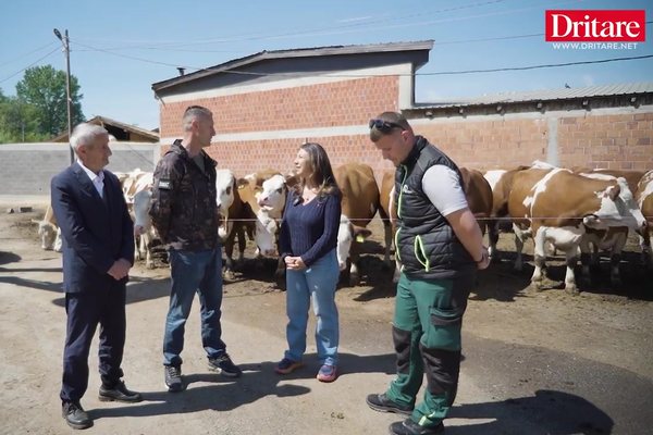 1000 lop&euml; dhe nj&euml; &euml;nd&euml;rr shqiptare. Historia e Besi Farmers