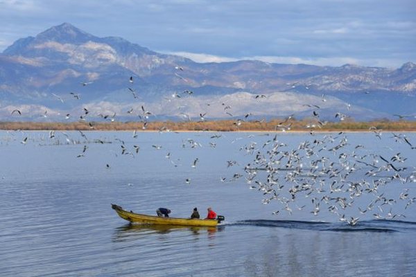 Liqeni i Shkodr&euml;s shpallet Rezerv&euml; Biosfere e UNESCO-s