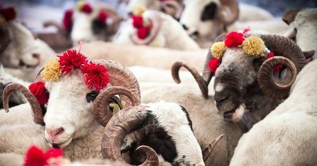 Tryeza e Kurban Bajramit. Ushqimet që nuk duhet të mungojnë!