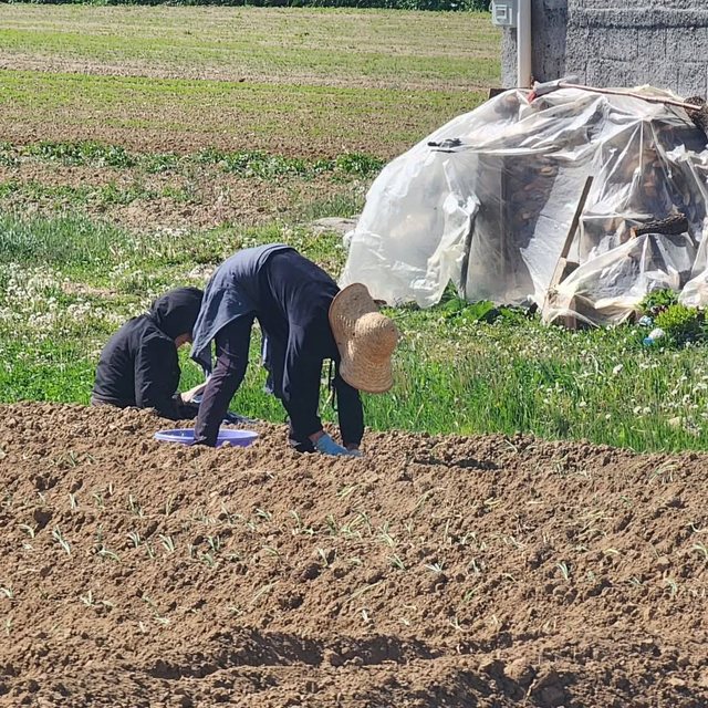 1 Maji i vërtetë: Gratë e fshatit tim