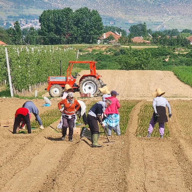 1 Maji i vërtetë: Gratë e fshatit tim