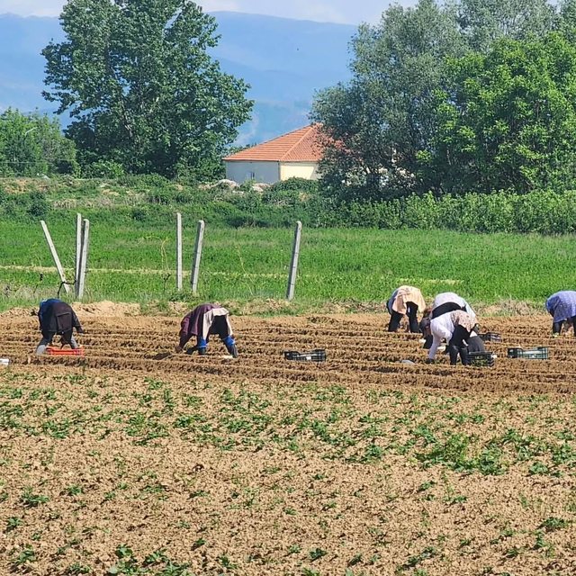 1 Maji i vërtetë: Gratë e fshatit tim