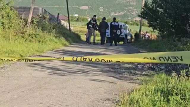 Vajza godet me sëpatë fqinjët burrë e grua, djali i tyre