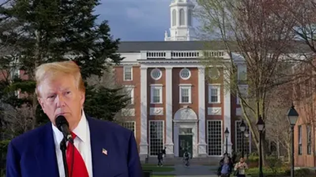 Harvard padit administratën Trump, ja pse!