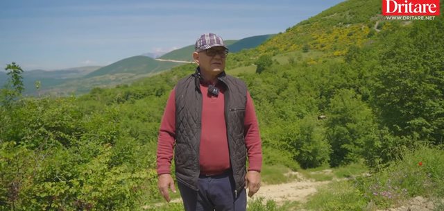 Në mal me bletët dhe ChatGPT. Historia e pabesueshme e bletarit