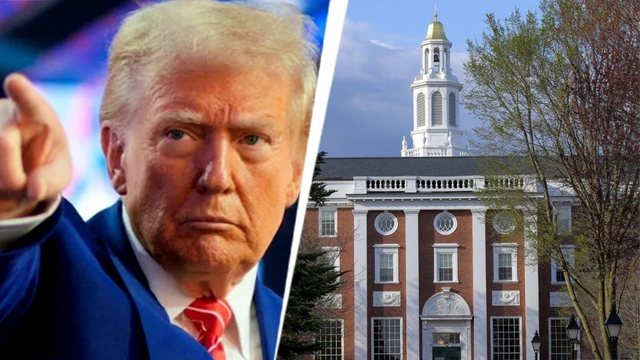 Fitore për Harvardin dhe studentët e huaj! Gjykata pezullon vendimin e