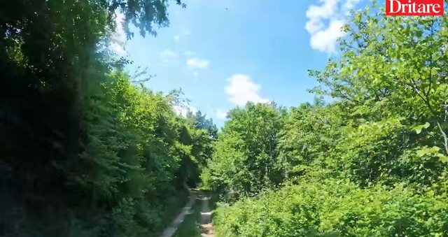 Mjalti i Zhapokikës, pasuria e artë e Beratit
