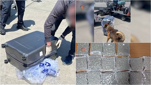 Trafikoi 19 kg kanabis me valixhe nga Tajlanda, në pranga i riu në