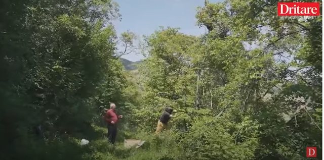 Zhapokika, fshati me tri familje dhe një minierë mjalti!